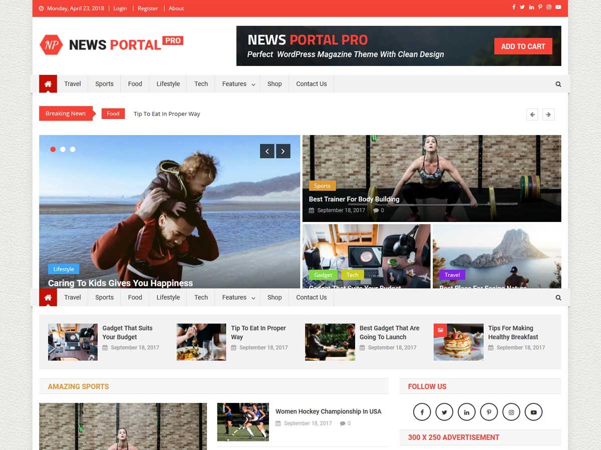 news-portal-pro-magazine-WordPress-theme