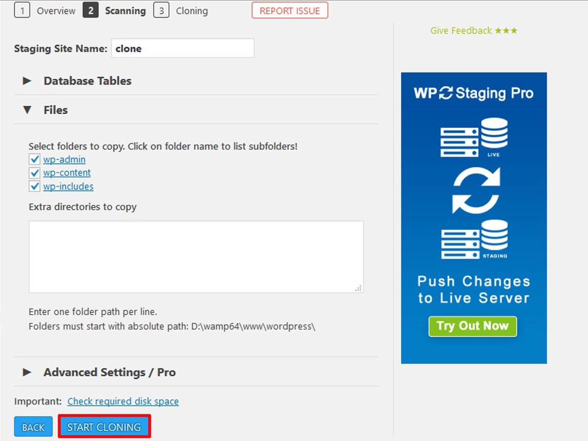 WPstaging Process