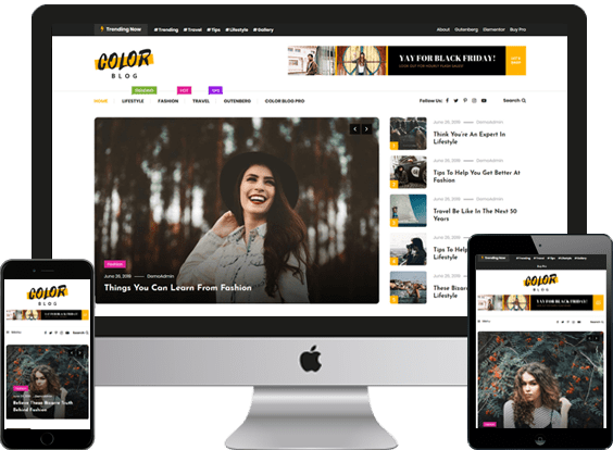Creative WordPress Blog Theme – Color Blog