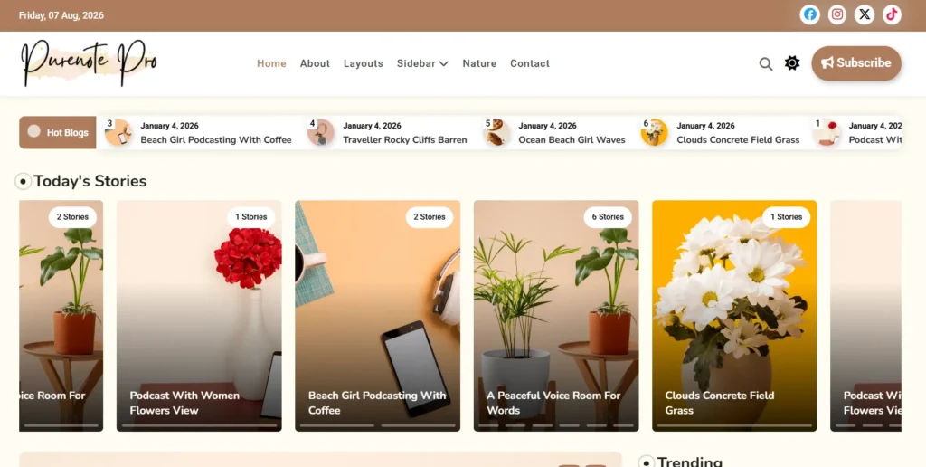 purenote pro premium theme