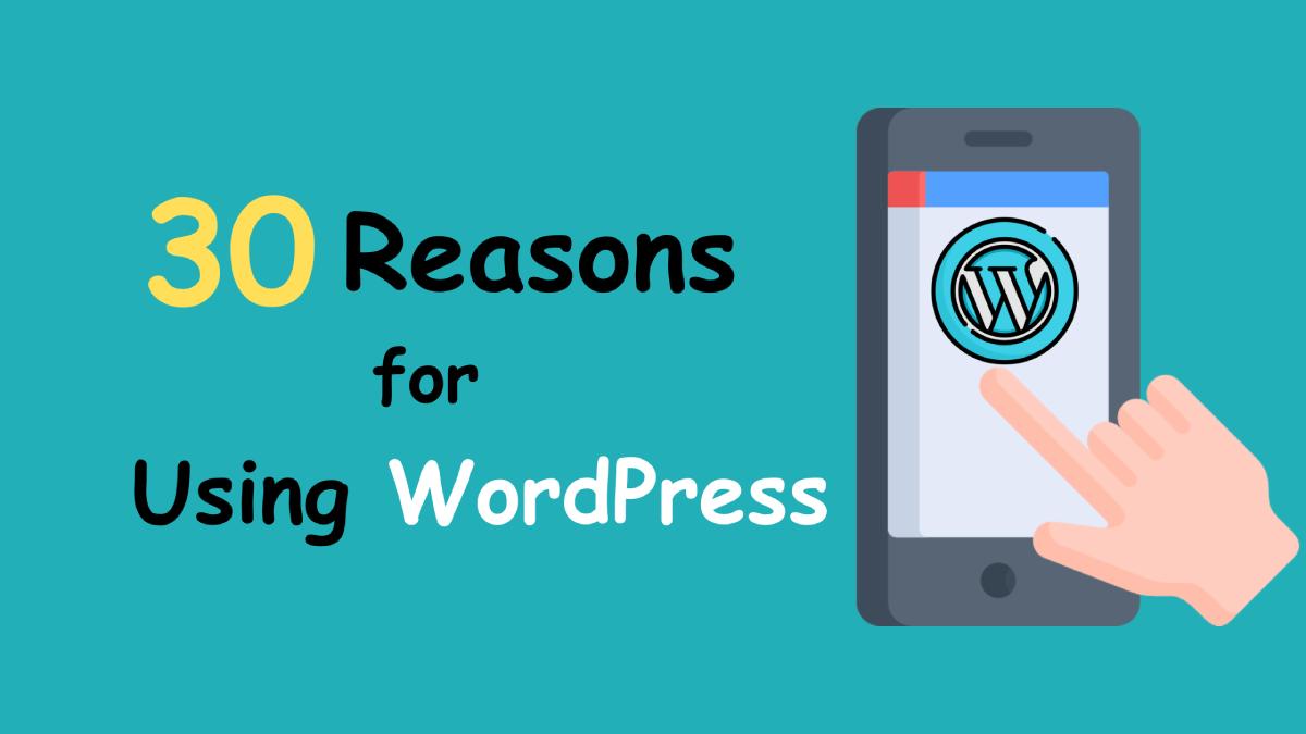 use WordPress